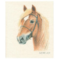 Cellulose klut ECO Hest