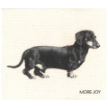 Cellulose klut ECO Dachshund
