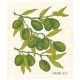 Cellulose klut ECO Oliven 2