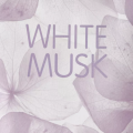 White musk roll-on 5 ml tester