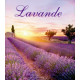 Lavendel roll-on 5ml tester