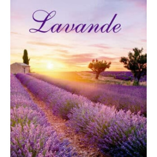 Lavendel roll-on 5ml tester