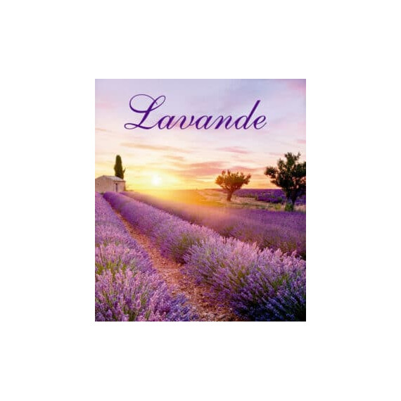Lavendel roll-on 5ml tester