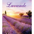 Lavendel roll-on 5ml tester