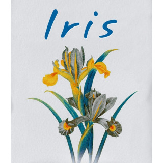 Iris roll-on 10 ml tester