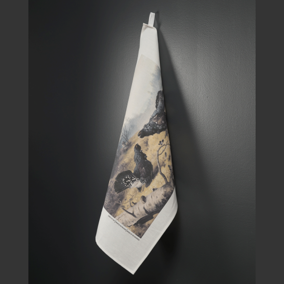 Kjøkken-håndkle Hønsehauk