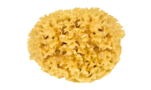 Svamper & Luffa